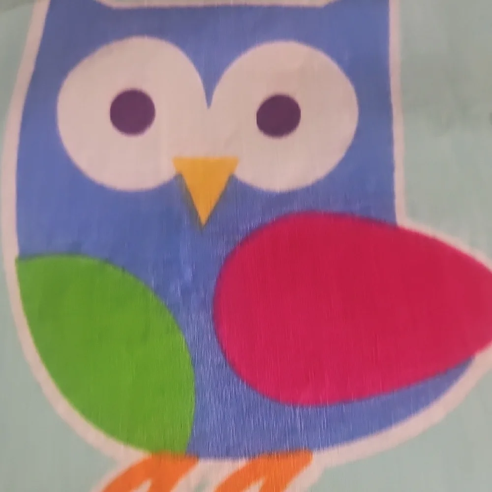 Wildkin Teal Body Purple Yellows Blues Floral Birds Cotton Twin Flat Sheet